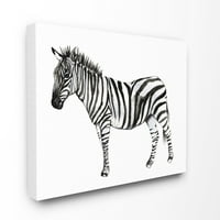 Stupell Sanayi Zebra Ayakta Siyah Ve Beyaz Suluboya Hayvan Boyama Tuval Duvar Sanatı Jennifer Goldberger, 30 40
