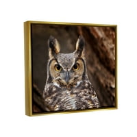 Stupell Endüstrileri Boynuzlu Baykuş Doğa Fotoğrafçılığı Hayvanlar ve Böcekler Fotoğraf Altın Şamandıra Çerçeveli