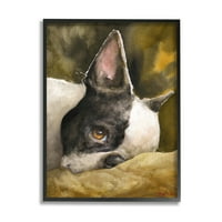 Stupell Industries Boston Terrier Dinlenme Köpeği Evcil Hayvan Portresi Siyah Kahverengi Siyah Çerçeveli, 20, Tasarım
