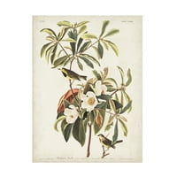 John James Audubon 'Bachmans Ötleğeni' Tuval Sanatı